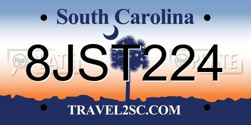 8JST224 South Carolina License Plate