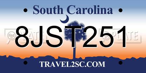 8JST251 South Carolina License Plate