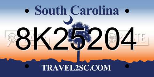 8K25204 South Carolina License Plate