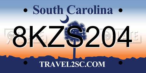 8KZS204 South Carolina License Plate