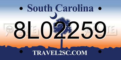 8L02259 South Carolina License Plate