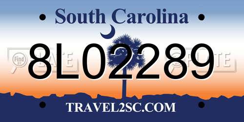 8L02289 South Carolina License Plate