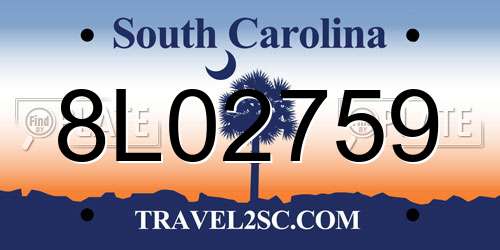 8L02759 South Carolina License Plate