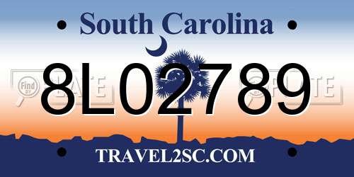 8L02789 South Carolina License Plate