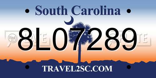 8L07289 South Carolina License Plate