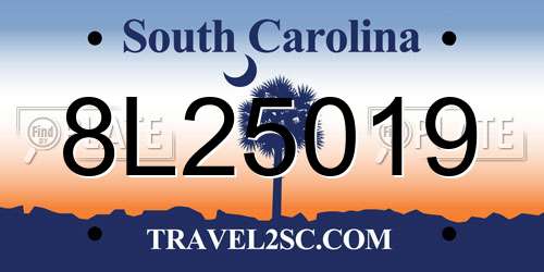 8L25019 South Carolina License Plate