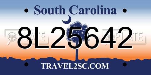 8L25642 South Carolina License Plate