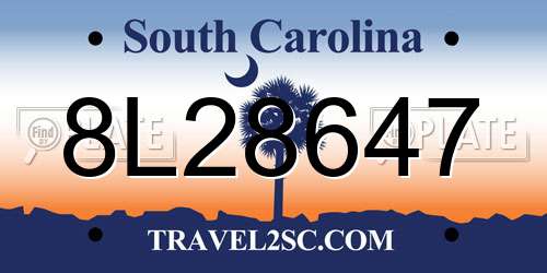 8L28647 South Carolina License Plate