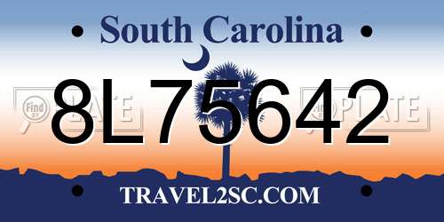 8L75642 South Carolina License Plate