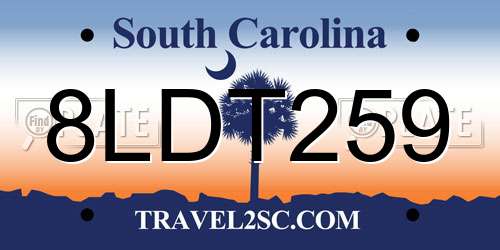 8LDT259 South Carolina License Plate