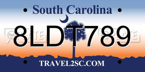 8LDT789 South Carolina License Plate