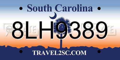 8LH9389 South Carolina License Plate