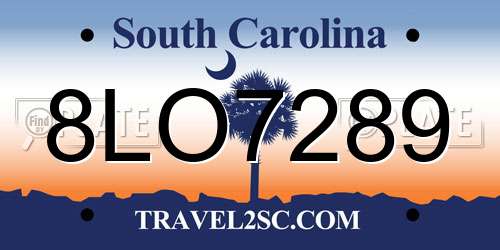 8LO7289 South Carolina License Plate
