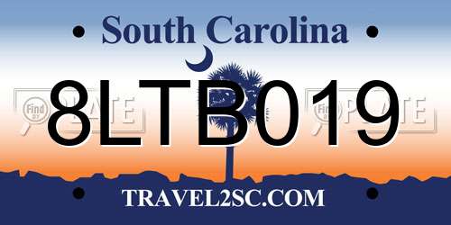 8LTB019 South Carolina License Plate