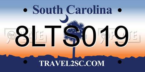 8LTS019 South Carolina License Plate