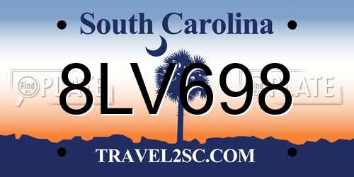 8LV698 South Carolina License Plate