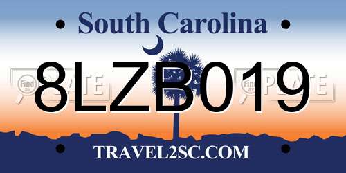 8LZB019 South Carolina License Plate
