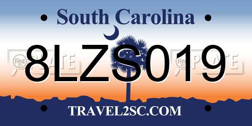 8LZS019 South Carolina License Plate