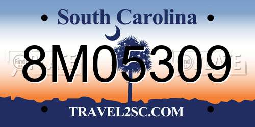 8M05309 South Carolina License Plate