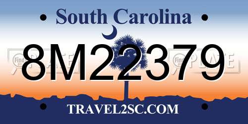 8M22379 South Carolina License Plate