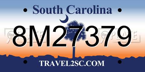 8M27379 South Carolina License Plate