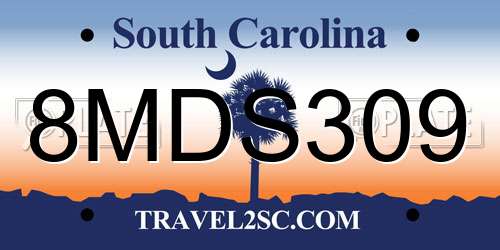 8MDS309 South Carolina License Plate