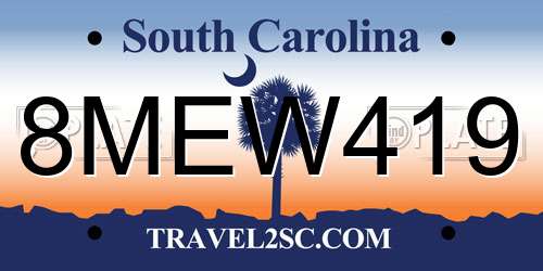 8MEW419 South Carolina License Plate