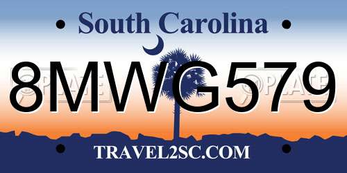 8MWG579 South Carolina License Plate