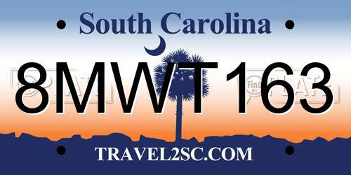 8MWT163 South Carolina License Plate