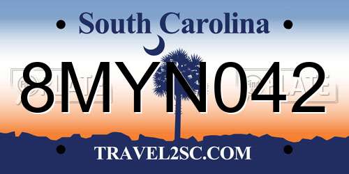 8MYN042 South Carolina License Plate