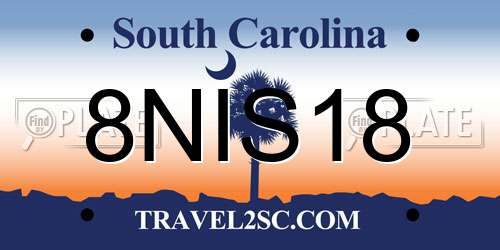 8NIS18 South Carolina License Plate