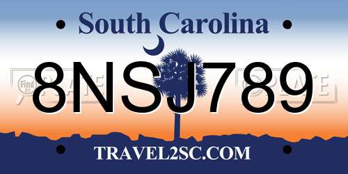 8NSJ789 South Carolina License Plate