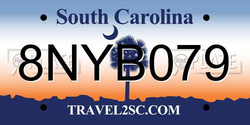 8NYB079 South Carolina License Plate