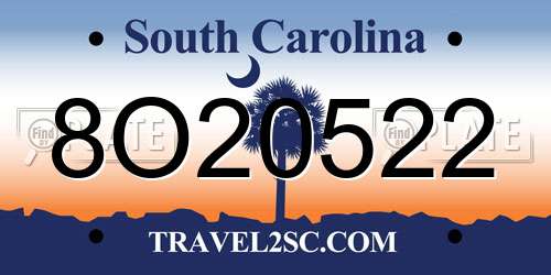 8O20522 South Carolina License Plate