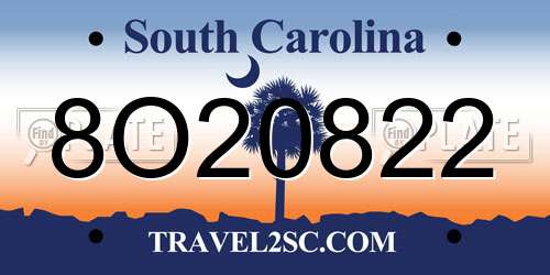 8O20822 South Carolina License Plate