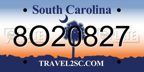 8O20827 South Carolina License Plate
