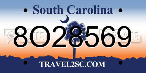 8O28569 South Carolina License Plate
