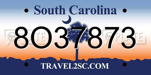 8O37873 South Carolina License Plate