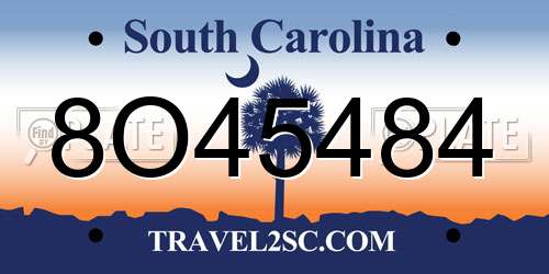 8O45484 South Carolina License Plate