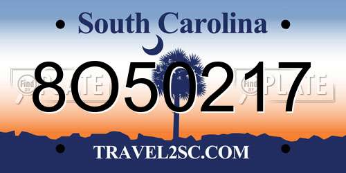 8O50217 South Carolina License Plate