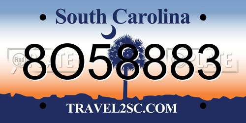 8O58883 South Carolina License Plate