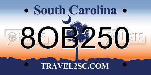 8OB250 South Carolina License Plate