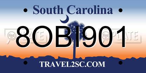 8OBI901 South Carolina License Plate