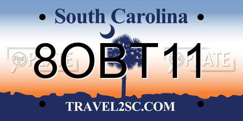 8OBT11 South Carolina License Plate