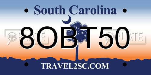 8OBT50 South Carolina License Plate