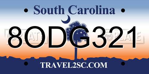 8ODG321 South Carolina License Plate