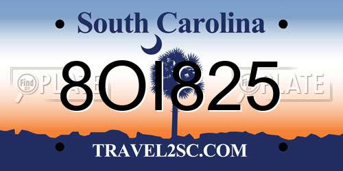 8OI825 South Carolina License Plate