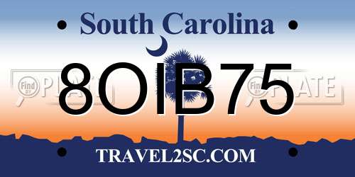 8OIB75 South Carolina License Plate