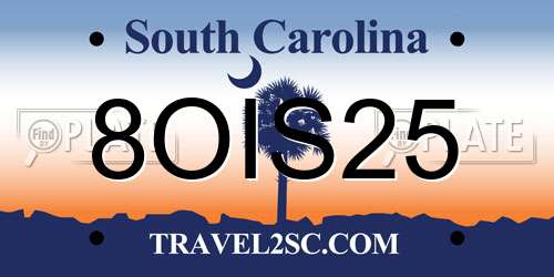 8OIS25 South Carolina License Plate