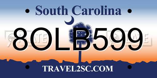 8OLB599 South Carolina License Plate